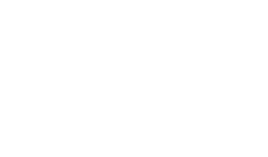 Yeni Parti