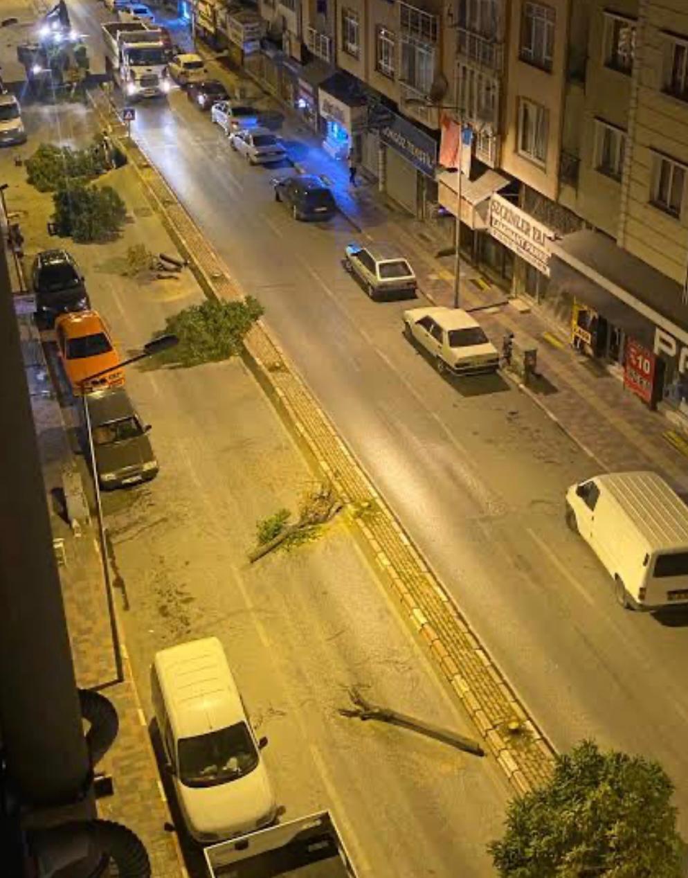 Ambaryolu’nda Yanlış Hesap, Bağdat’tan döndü. Peki, Harcanan Paraların, Kesilen Ağaçların Hesabını Kim&nbsp;Verecek?